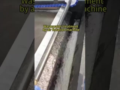 Dissolved Air Flotation Machine